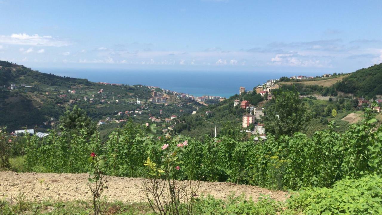 Sea & Nature Villa Hisar Trabzon Exterior foto