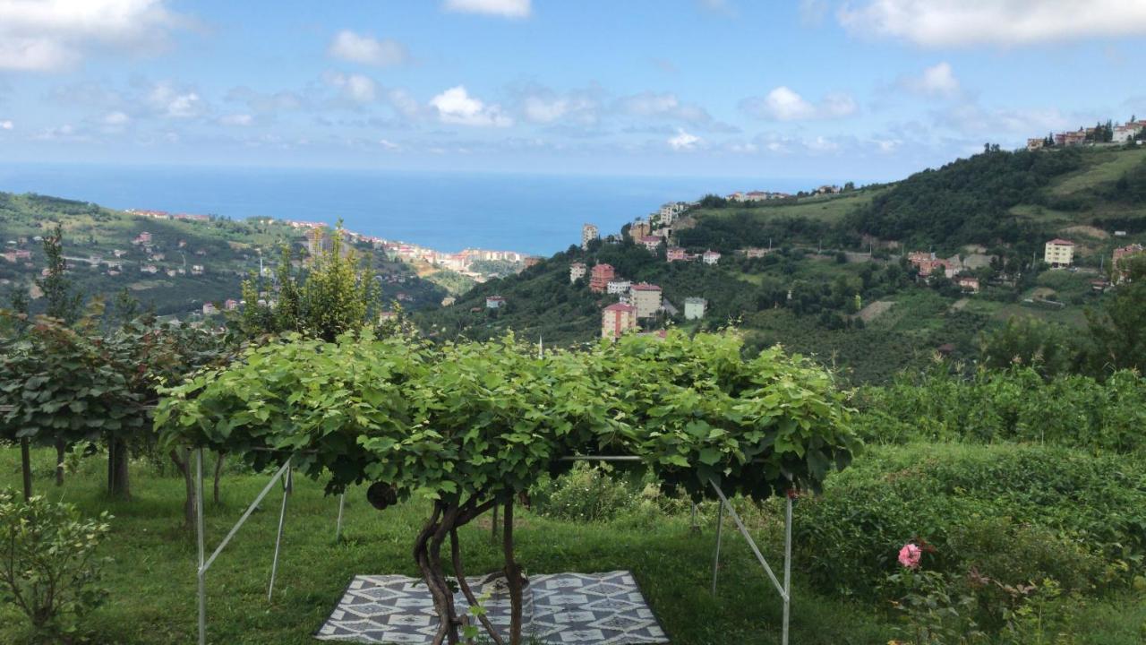 Sea & Nature Villa Hisar Trabzon Exterior foto